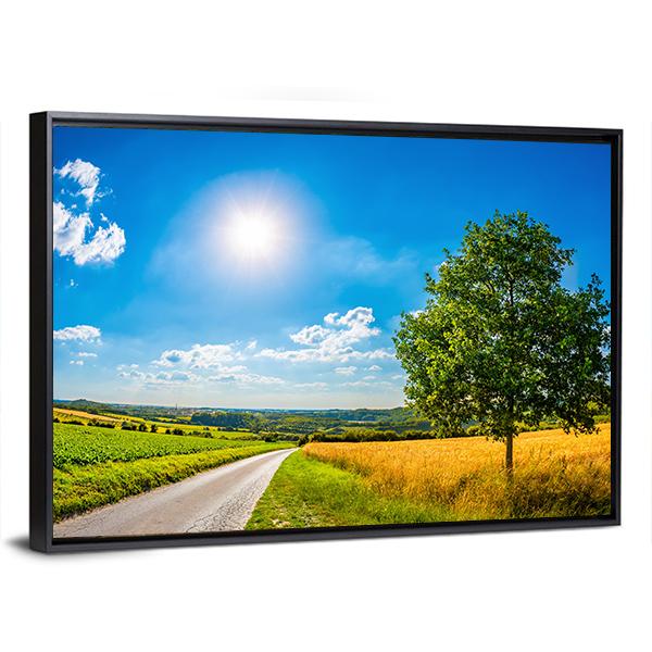 Sun Over Corn Field Canvas Wall Art-3 Horizontal-Gallery Wrap-25" x 16"-Tiaracle