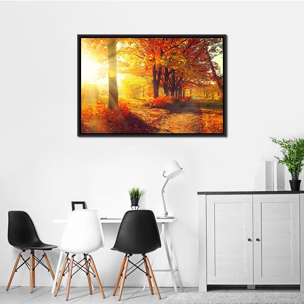Sun Rays In Autumn Park Canvas Wall Art-1 Piece-Floating Frame-24" x 16"-Tiaracle