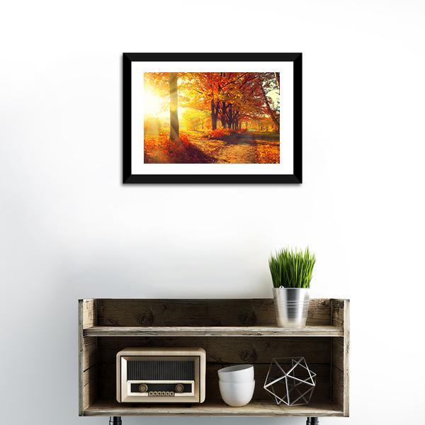 Sun Rays In Autumn Park Canvas Wall Art-1 Piece-Framed Print-20" x 16"-Tiaracle