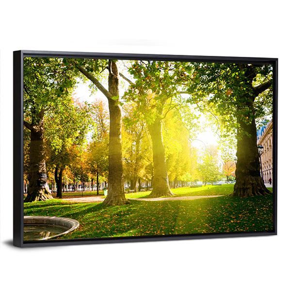 Sun Rays In Green Park Canvas Wall Art-3 Horizontal-Gallery Wrap-25" x 16"-Tiaracle
