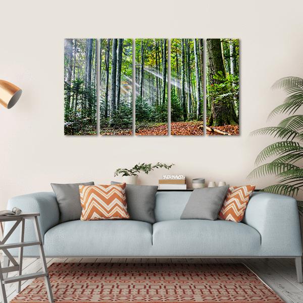 Sun Rays In The Forest Canvas Wall Art-5 Horizontal-Gallery Wrap-22" x 12"-Tiaracle