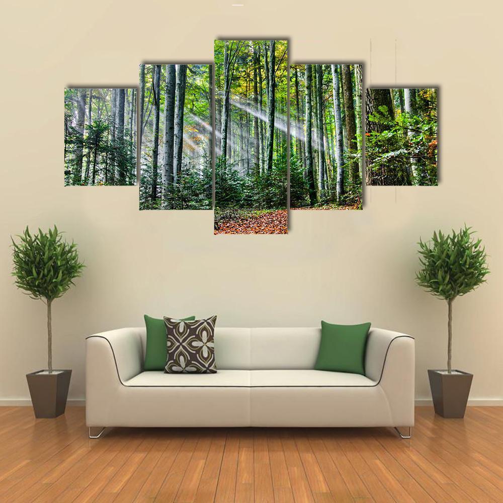 Sun Rays In The Forest Canvas Wall Art-5 Pop-Gallery Wrap-47" x 32"-Tiaracle