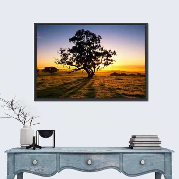 Sun Rises Over The Clare Valley In South Australia Canvas Wall Art-1 Piece-Floating Frame-24" x 16"-Tiaracle
