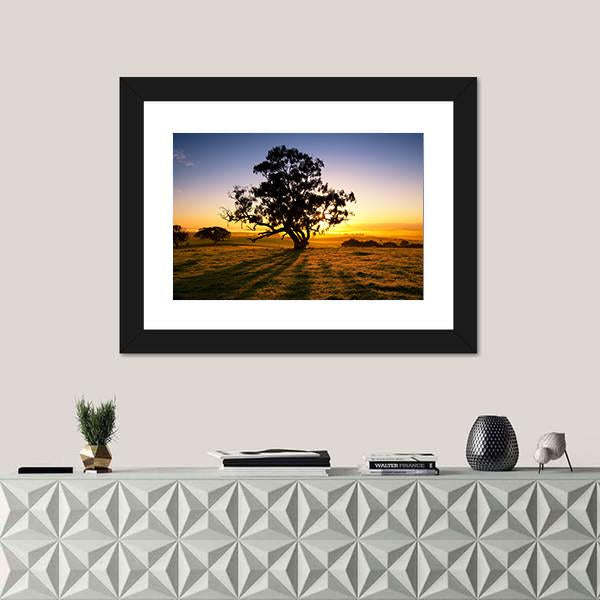 Sun Rises Over The Clare Valley In South Australia Canvas Wall Art-1 Piece-Framed Print-20" x 16"-Tiaracle