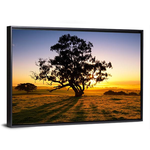 Sun Rises Over The Clare Valley In South Australia Canvas Wall Art-3 Horizontal-Gallery Wrap-25" x 16"-Tiaracle
