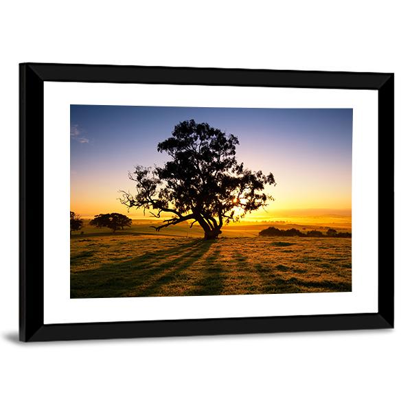 Sun Rises Over The Clare Valley In South Australia Canvas Wall Art-3 Horizontal-Gallery Wrap-25" x 16"-Tiaracle