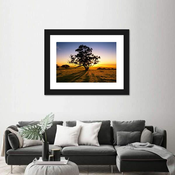 Sun Rises Over The Clare Valley In South Australia Canvas Wall Art-3 Horizontal-Gallery Wrap-25" x 16"-Tiaracle