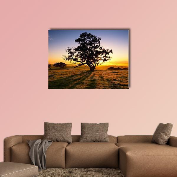 Sun Rises Over The Clare Valley In South Australia Canvas Wall Art-1 Piece-Gallery Wrap-48" x 32"-Tiaracle