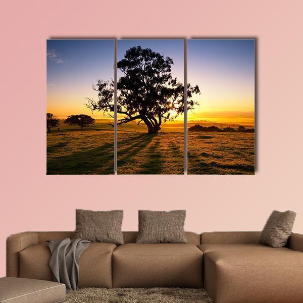 Sun Rises Over The Clare Valley In South Australia Canvas Wall Art-3 Horizontal-Gallery Wrap-37" x 24"-Tiaracle