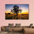 Sun Rises Over The Clare Valley In South Australia Canvas Wall Art-3 Horizontal-Gallery Wrap-37" x 24"-Tiaracle