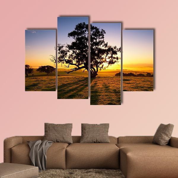 Sun Rises Over The Clare Valley In South Australia Canvas Wall Art-4 Pop-Gallery Wrap-50" x 32"-Tiaracle