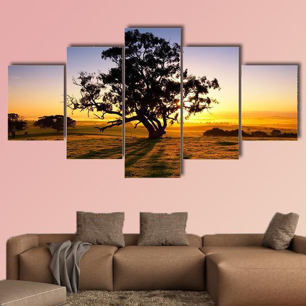 Sun Rises Over The Clare Valley In South Australia Canvas Wall Art-5 Star-Gallery Wrap-62" x 32"-Tiaracle