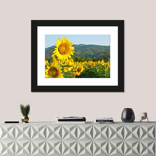 Sunflower Field And Green Mountains Canvas Wall Art-1 Piece-Framed Print-20" x 16"-Tiaracle