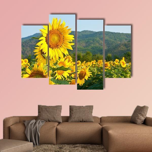 Sunflower Field And Green Mountains Canvas Wall Art-4 Pop-Gallery Wrap-50" x 32"-Tiaracle