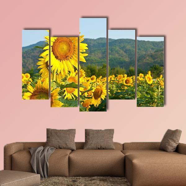 Sunflower Field And Green Mountains Canvas Wall Art-5 Pop-Gallery Wrap-47" x 32"-Tiaracle