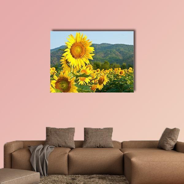 Sunflower Field and Green Mountains Canvas Wall Art in yellow, green and blue, single panel hung on a wall