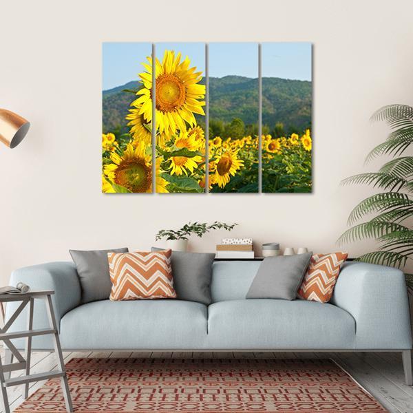 Sunflower Field And Green Mountains Canvas Wall Art-4 Horizontal-Gallery Wrap-34" x 24"-Tiaracle