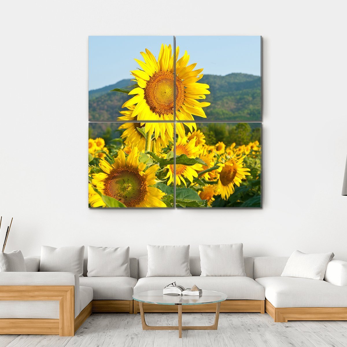 Sunflower Field And Green Mountains Canvas Wall Art-4 Square-Gallery Wrap-17" x 17"-Tiaracle