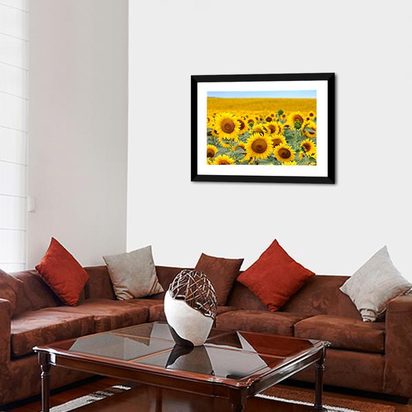 Sunflower Field Canvas Wall Art-3 Horizontal-Gallery Wrap-25" x 16"-Tiaracle