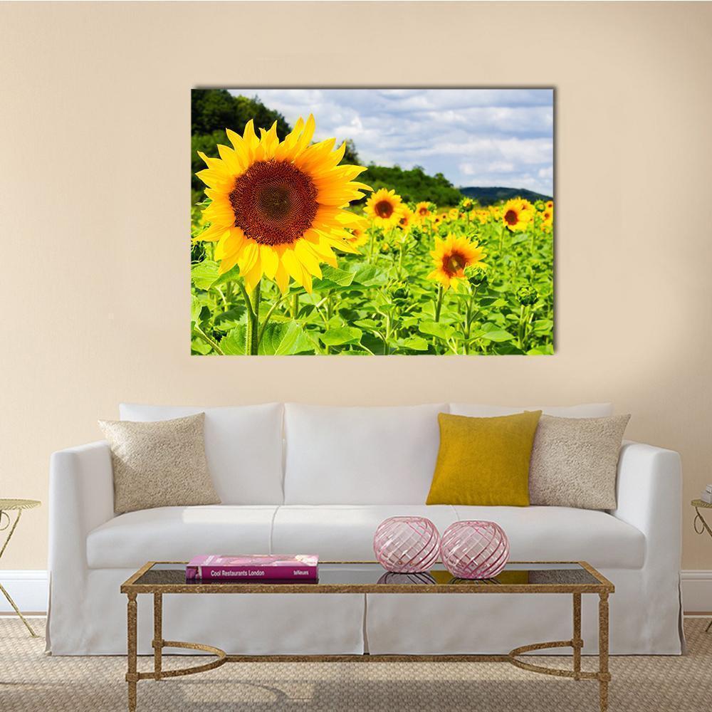 Sunny Sunflower Field with Blue Sky Canvas Wall Art in yellow, green and blue, single panel hung on a wall