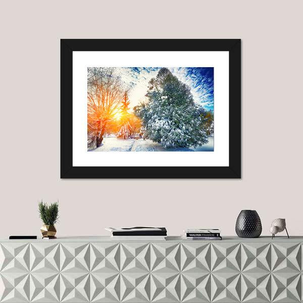 Sunlight Breaks Through The Pine Trees In Winter Canvas Wall Art-1 Piece-Framed Print-20" x 16"-Tiaracle