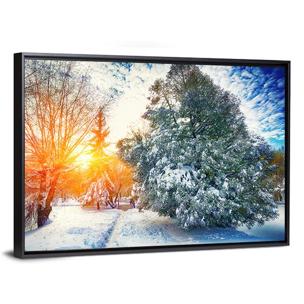 Sunlight Breaks Through The Pine Trees In Winter Canvas Wall Art-3 Horizontal-Gallery Wrap-25" x 16"-Tiaracle