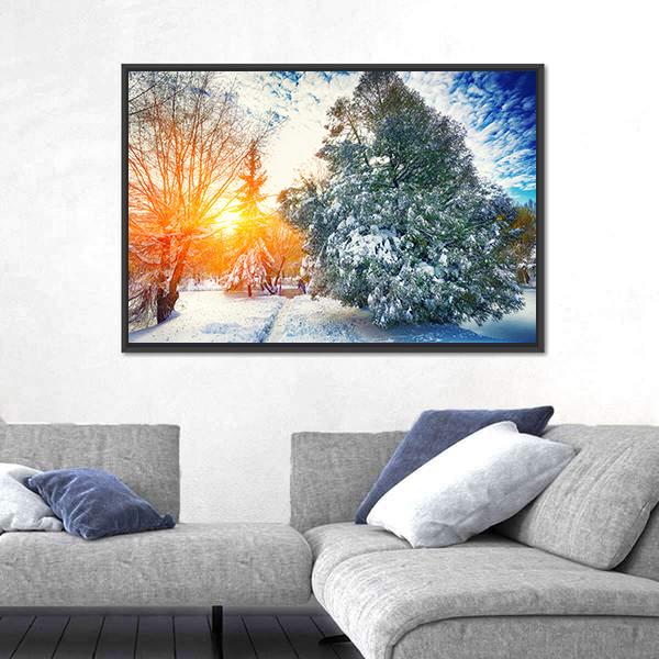 Sunlight Breaks Through The Pine Trees In Winter Canvas Wall Art-3 Horizontal-Gallery Wrap-25" x 16"-Tiaracle