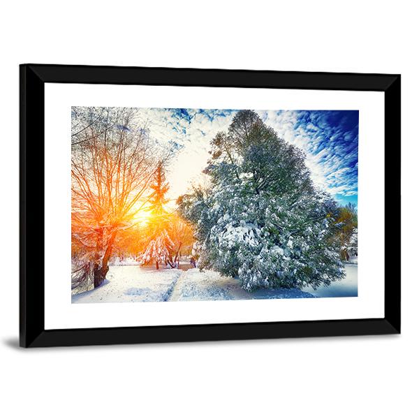 Sunlight Breaks Through The Pine Trees In Winter Canvas Wall Art-3 Horizontal-Gallery Wrap-25" x 16"-Tiaracle