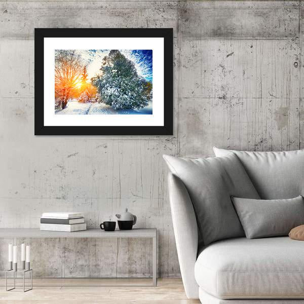 Sunlight Breaks Through The Pine Trees In Winter Canvas Wall Art-3 Horizontal-Gallery Wrap-25" x 16"-Tiaracle