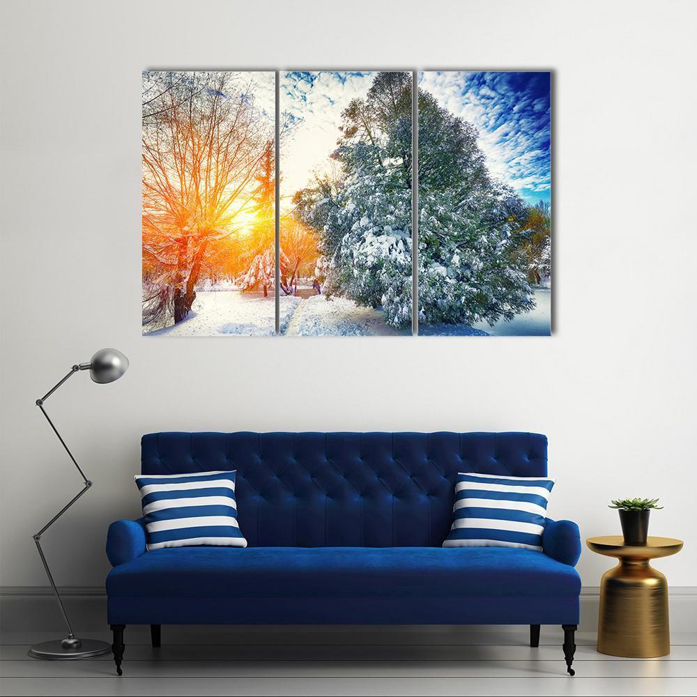 Sunlight Breaks Through The Pine Trees In Winter Canvas Wall Art-3 Horizontal-Gallery Wrap-37" x 24"-Tiaracle