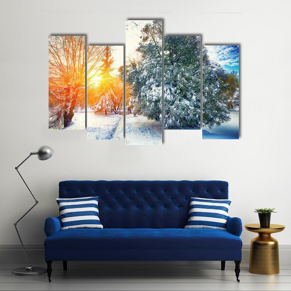 Sunlight Breaks Through The Pine Trees In Winter Canvas Wall Art-5 Pop-Gallery Wrap-47" x 32"-Tiaracle