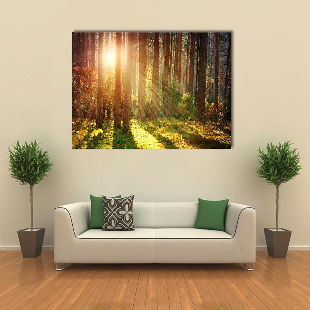 Misty Forest in Autumn Sunlight Canvas Wall Art in brown, yellow and green, single panel hung on a wall
