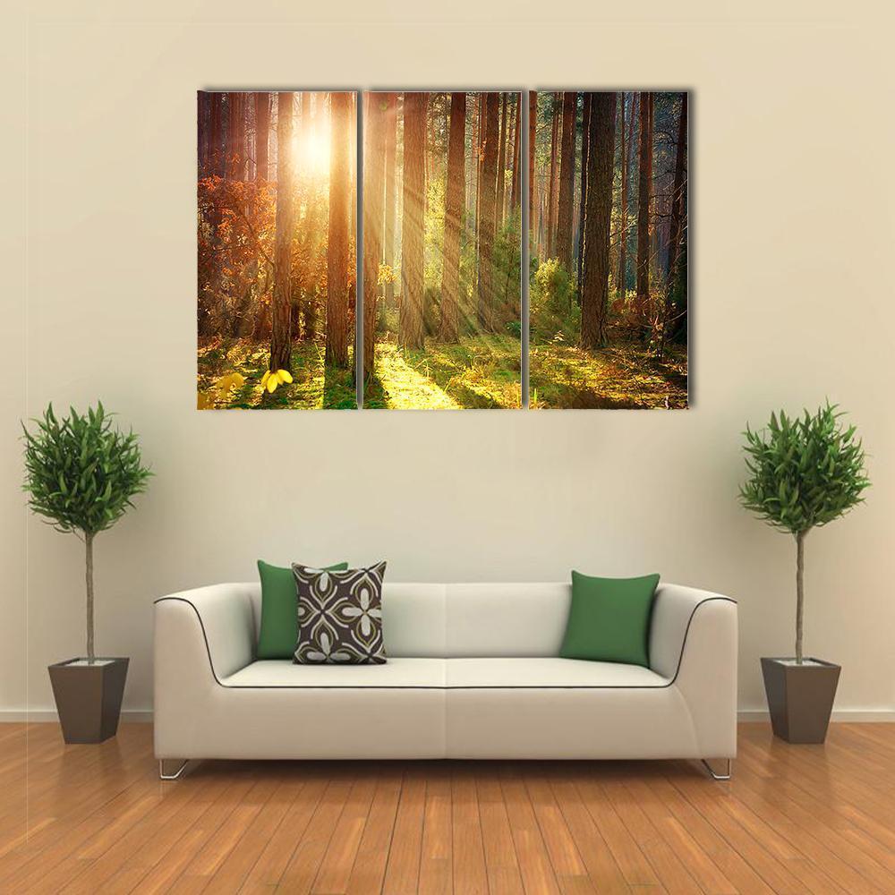 Misty Old Forest Autumn Canvas Wall Art-3 Horizontal-Gallery Wrap-37&quot; x 24&quot;-Tiaracle