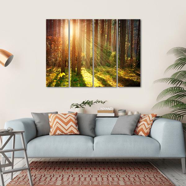 Misty Old Forest Autumn Canvas Wall Art-4 Horizontal-Gallery Wrap-34&quot; x 24&quot;-Tiaracle