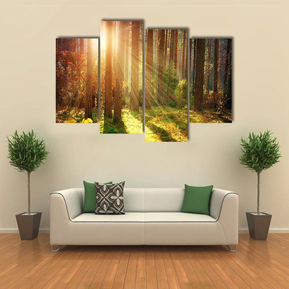 Misty Old Forest Autumn Canvas Wall Art-4 Pop-Gallery Wrap-50&quot; x 32&quot;-Tiaracle