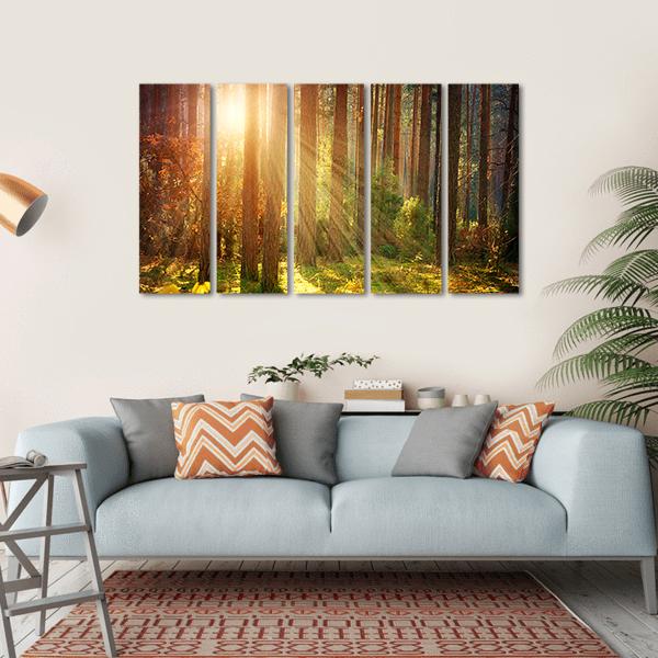 Misty Old Forest Autumn Canvas Wall Art-5 Horizontal-Gallery Wrap-22" x 12"-Tiaracle