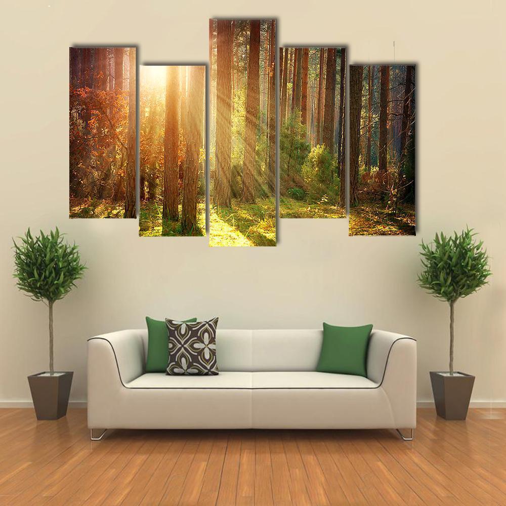 Misty Old Forest Autumn Canvas Wall Art-5 Pop-Gallery Wrap-47&quot; x 32&quot;-Tiaracle