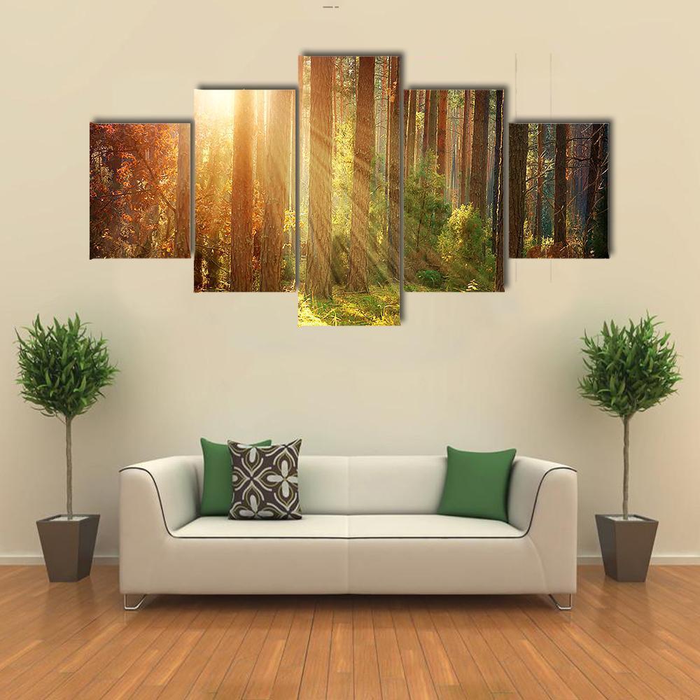 Misty Old Forest Autumn Canvas Wall Art-5 Star-Gallery Wrap-62&quot; x 32&quot;-Tiaracle