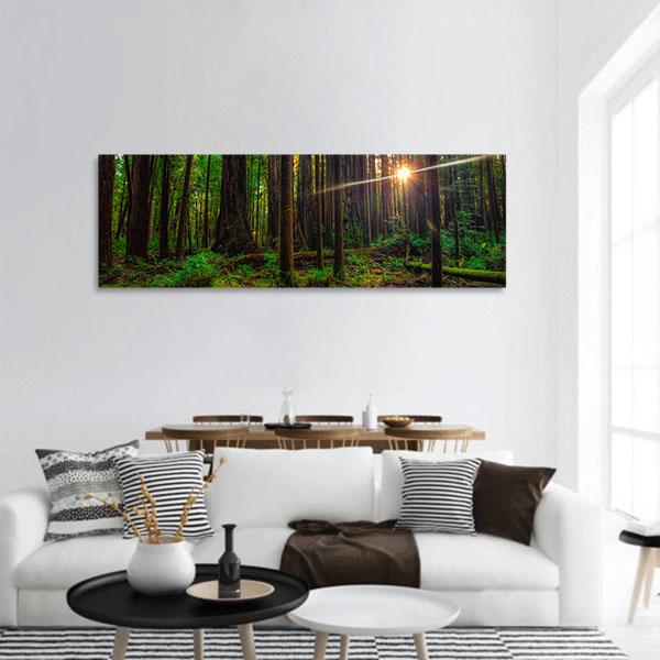 Sunlight In The Redwoods Forest Panoramic Canvas Wall Art-1 Piece-36&quot; x 12&quot;-Tiaracle