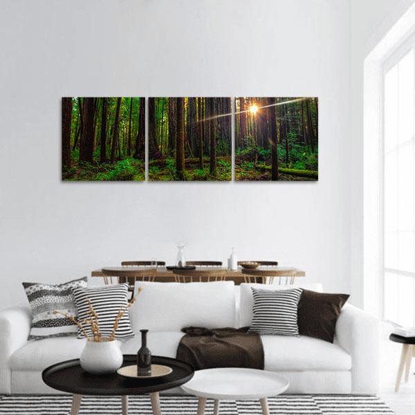 Sunlight In The Redwoods Forest Panoramic Canvas Wall Art-3 Piece-25&quot; x 08&quot;-Tiaracle
