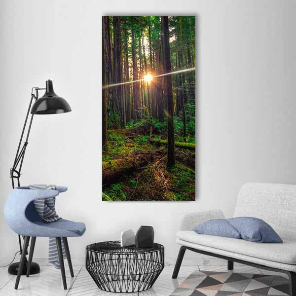 Sunlight In The Redwoods Forest Vertical Canvas Wall Art-1 Vertical-Gallery Wrap-12&quot; x 24&quot;-Tiaracle