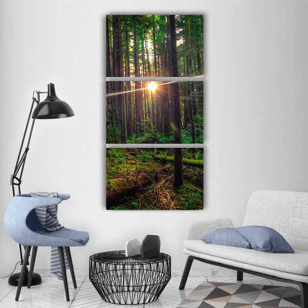 Sunlight In The Redwoods Forest Vertical Canvas Wall Art-1 Vertical-Gallery Wrap-12" x 24"-Tiaracle