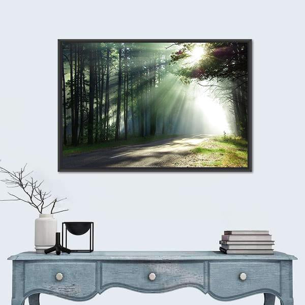 Sunlight Rays On The Forest Road Canvas Wall Art-1 Piece-Floating Frame-24&quot; x 16&quot;-Tiaracle