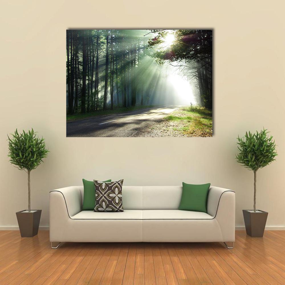 Sunlight Filtering Through a Forest Road Canvas Wall Art in black, yellow and green, single panel hung on a wall