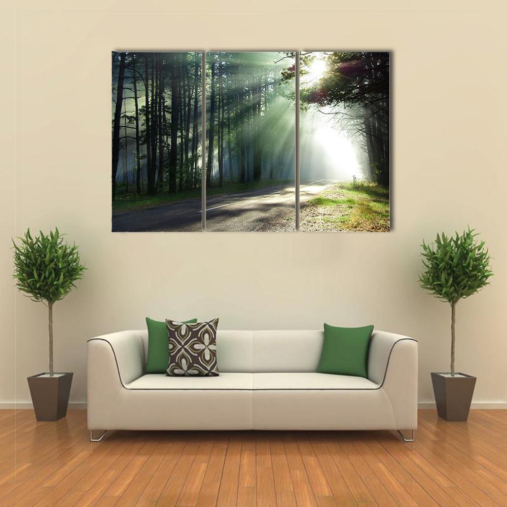 Sunlight Rays On The Forest Road Canvas Wall Art-3 Horizontal-Gallery Wrap-37&quot; x 24&quot;-Tiaracle
