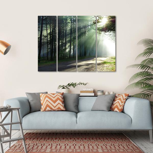Sunlight Rays On The Forest Road Canvas Wall Art-1 Piece-Gallery Wrap-36" x 24"-Tiaracle