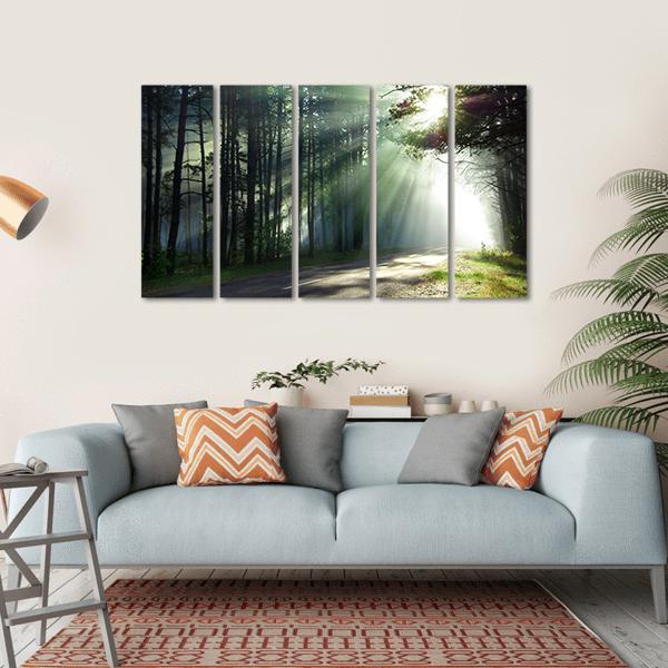 Sunlight Rays On The Forest Road Canvas Wall Art-5 Horizontal-Gallery Wrap-22" x 12"-Tiaracle
