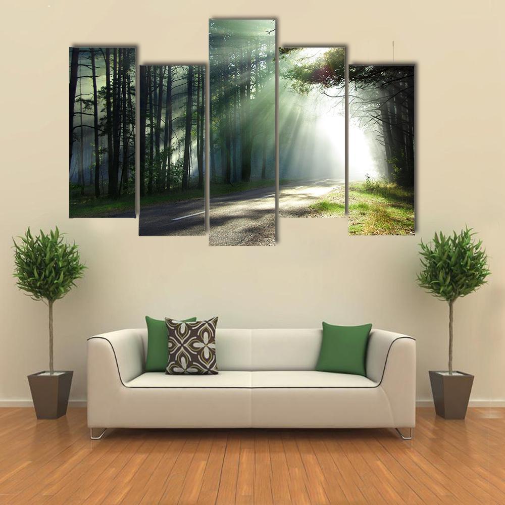Sunlight Rays On The Forest Road Canvas Wall Art-5 Pop-Gallery Wrap-47" x 32"-Tiaracle