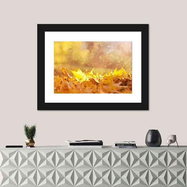 Autumn Leaves &amp; Sunlight Flares Canvas Wall Art-1 Piece-Framed Print-20" x 16"-Tiaracle