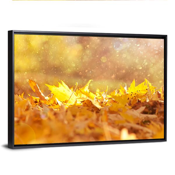 Autumn Leaves & Sunlight Flares Canvas Wall Art-3 Horizontal-Gallery Wrap-25" x 16"-Tiaracle